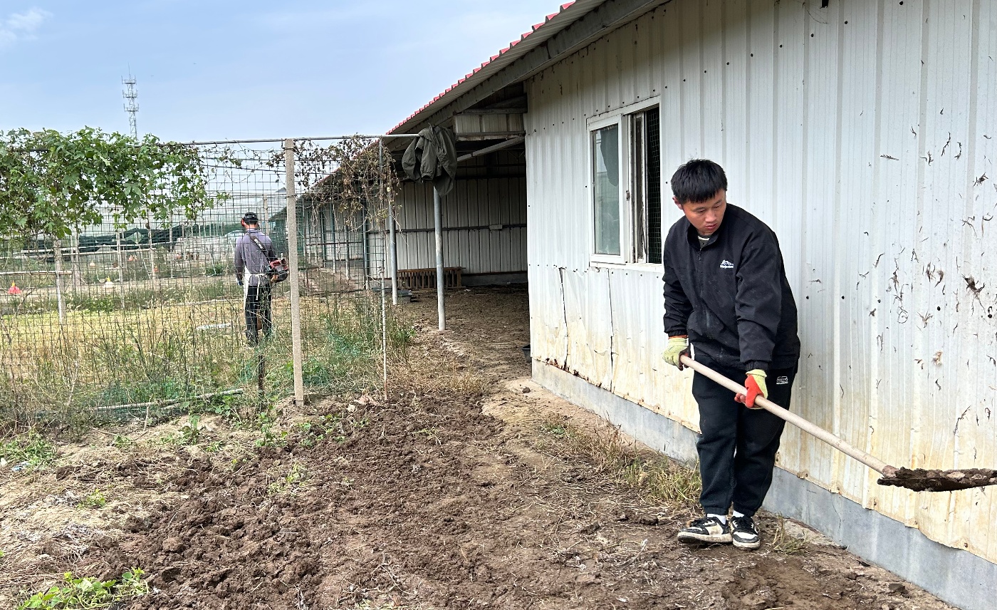 仓储中心禽舍清理20251027_副本