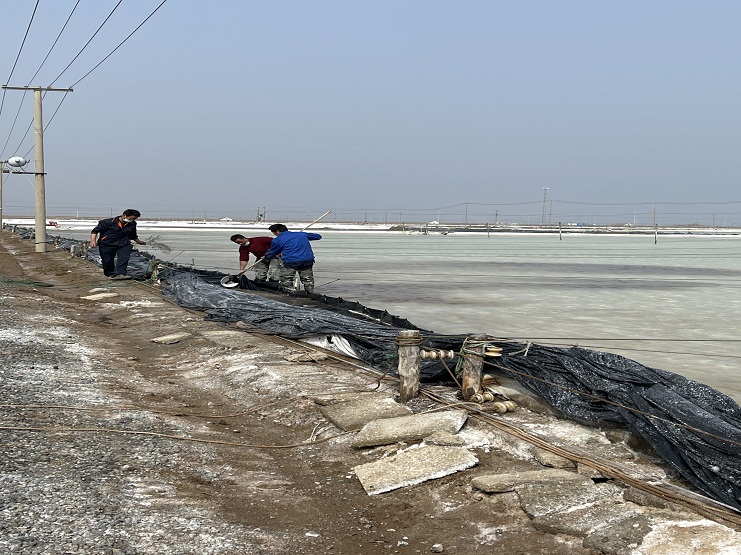 日晒制盐2.jpg 日晒制盐2.jpg