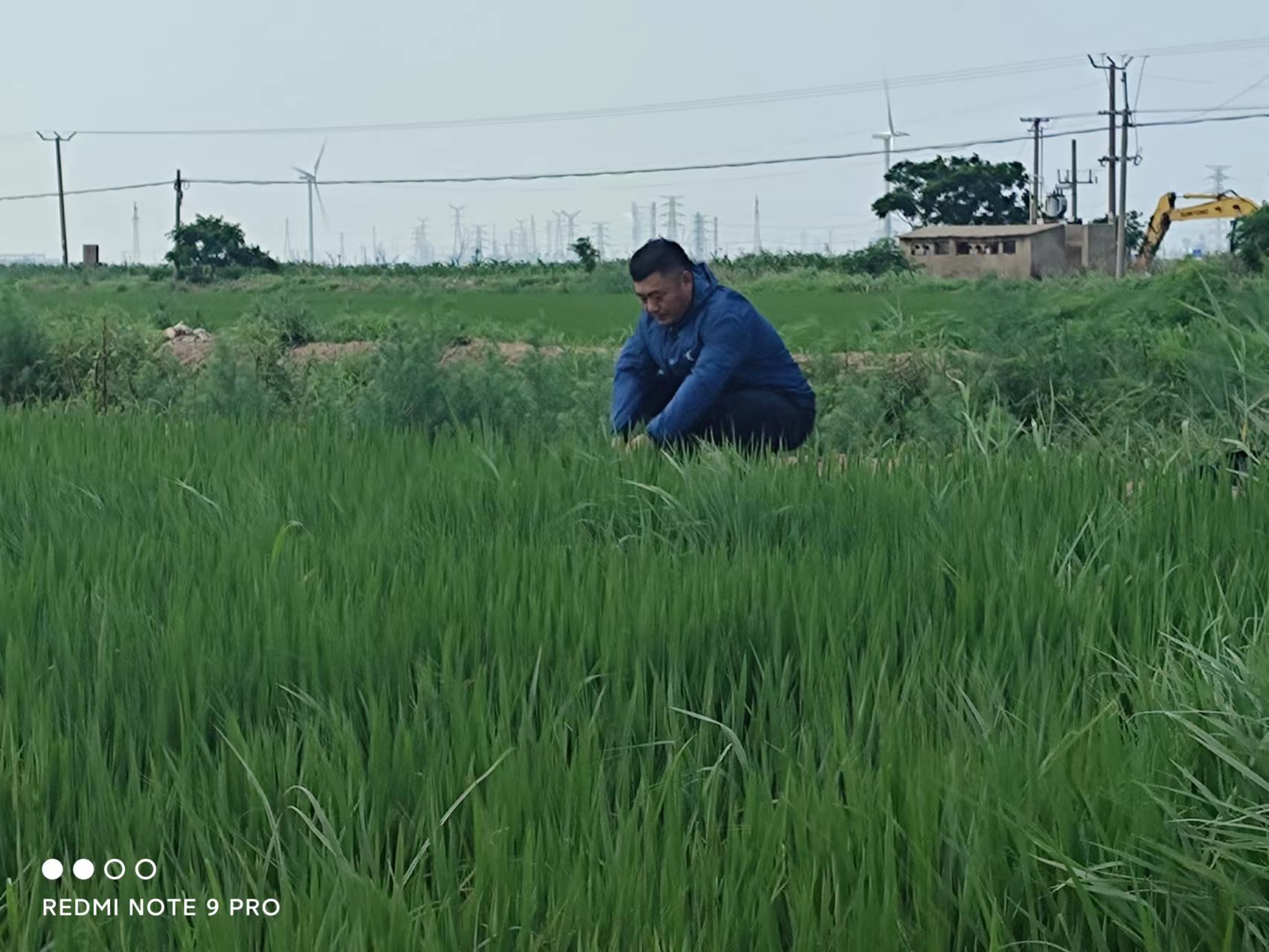 356D0F254256C86B44C9237A68D853F6.jpg 356D0F254256C86B44C9237A68D853F6.jpg